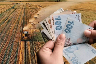 Çiftçilere Müjde! Tarımsal Destek Ödemeleri e-Devlet Üzerinden Kolayca Sorgulanabilir
