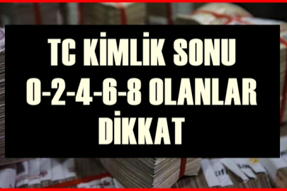 TC Kimlik No Sonu  0-2-4-6-8 Olanlara 125.000 TL Destek! Başvuru Açıklandı