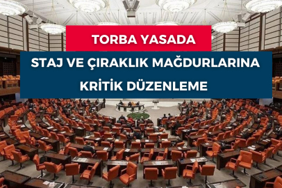 Staj ve Çıraklık Mağdurlarına Düzenleme